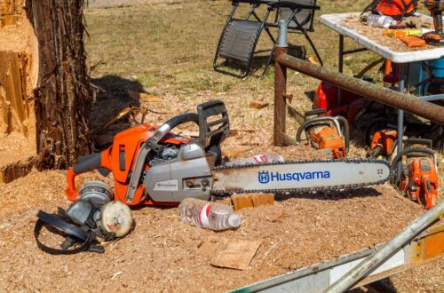 Der perfekte Baumschnitt